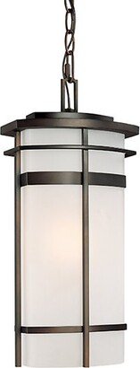 Lakeshore Outdoor Pendant Light