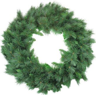 Northlight White Valley Pine Artificial Christmas Wreath - 48-Inch Unlit