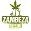 Zambeza Seeds Promo Codes & Coupons