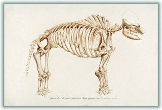 Stanley Print House Mammoth Skeleton