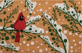 Nourison Home Nourison Cardinal Coir Door Mat