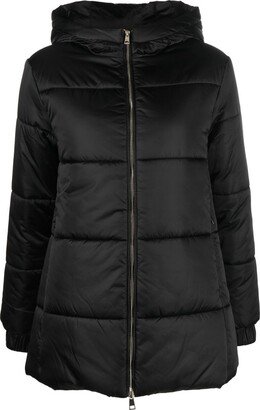 Padded Hooded Jacket-BL