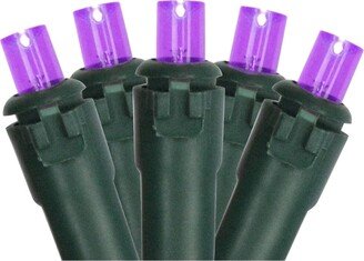 Northlight Set of 50 Purple Led Wide Angle Christmas Lights - Green Wire