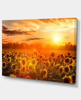 Designart Yellow Sunset Over Sunflowers Floral Photography Art - 32 X 16