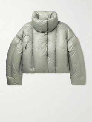 Dingyun Zhang Aloby Oversized Quilted Shell Hooded Down Jacket