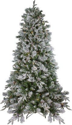 Northern Lights Northlight 7.5Ft Pre-Lit Flocked Rosemary Emerald Angel Pine Artificial Christmas Tree - Clear Led Lights