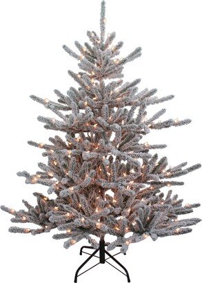 5' Pre-Lit Clear Incandescent Vail Pine Tree