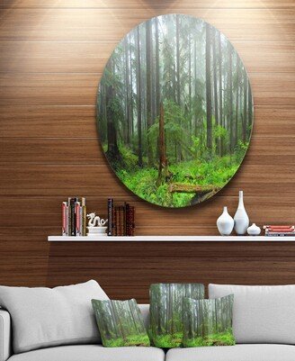 Designart 'Hoh Rain Forest' Landscape Photography Circle Metal Wall Art - 23 x 23