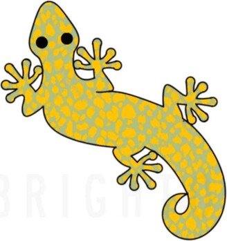 Fast Shipping Gecko Cookie Cutter By Brighton Cutters, Cutter, Lizard