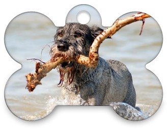 Pet Tags: Dog Bone In Plaid Bone Pet Tag, Red