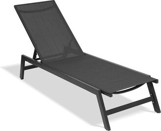 RASOO 5-Position Adjustable Aluminum Recliner, All-Weather Seating for Patio, Beach, Yard, & Pool.