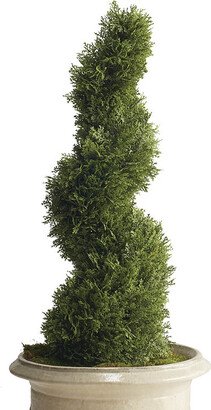 Cypress Spiral Topiary