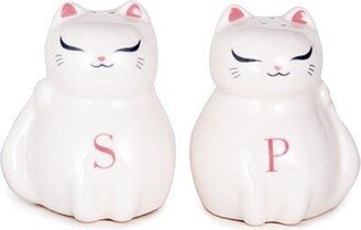 Cat Themed Ceramic Salt & Pepper Shakers