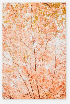 Lulu and Georgia Pastel Fall Tree Photography Print by Ingrid Beddoes