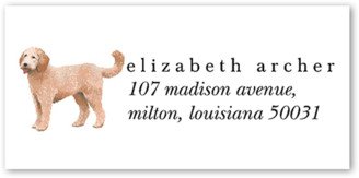 Address Labels: Doodle Dog Love Address Label, White, Address Label, Matte