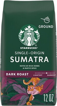 Dark Roast Ground Coffee — Sumatra — 100% Arabica — 1 bag (12 oz.)