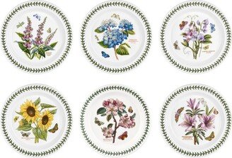 Botanic Garden Set Of 6 Dinner Plates