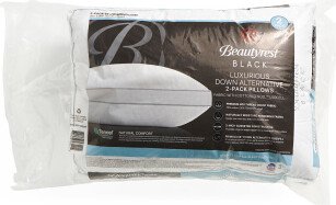 TJMAXX 20X28 2Pk Luxurious Down Alternative Pillows