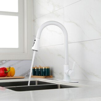 Simplie Fun Kitchen Faucet with Pull Out Sprayer