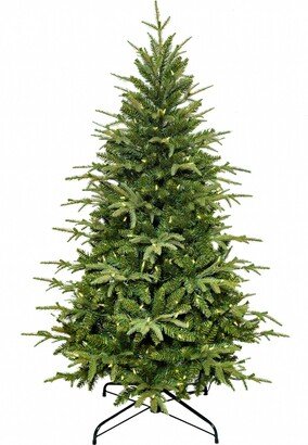 5' 250-Light Warm Led Grand Fir Tree