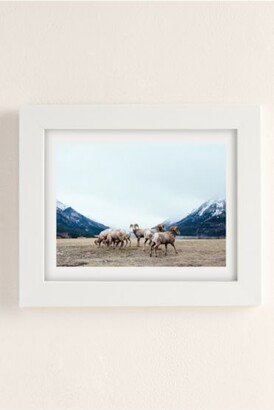 David Guenther Mountain Sheep And A View Art Print