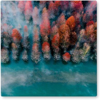 Photo Tiles: Autumn Tree Line Photo Tile, Metal, 8X8, Green