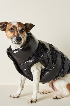 Little Beast The Big Black Puffer Jacket