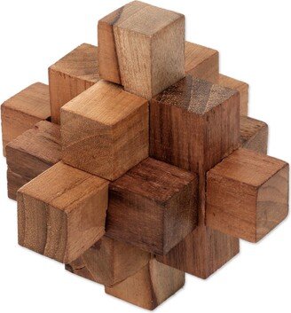 Handmade Teakwood Puzzle, 'Challenge'