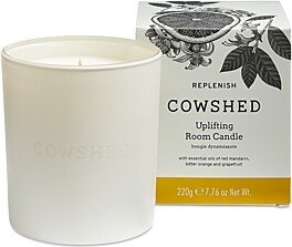 Replenish Candle 7.76 oz.