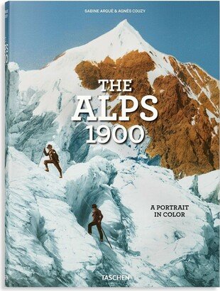 The Alps 1900 A Portrait In Color book