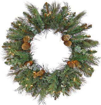 National Tree Company First Traditions Pre-Lit North Conway Christmas Wreath with Pinecones and Frost, Warm White LED Lights, Plug In, 24 in