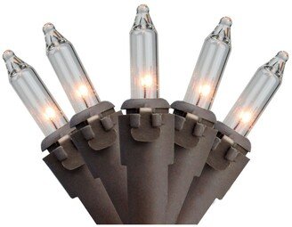 Northlight Set of 100 Clear Mini Christmas Lights 2.5 Spacing - Brown Wire