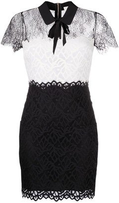 Rozen semi-sheer lace dress