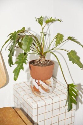 Carmella Self Watering Planter