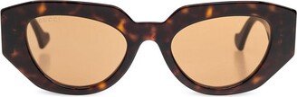 Cat-Eye Framed Sunglasses-AB