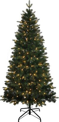 6' Pre-lit Led Studio Spruce Tree