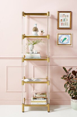 Oscarine Lucite Narrow Mirrored Bookshelf