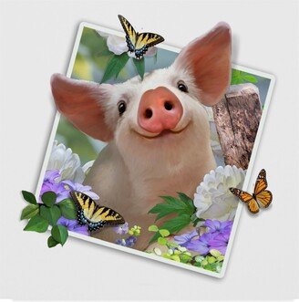 Howard Robinson 'Baby Pig Photograph' Canvas Art - 18 x 18