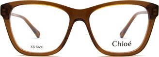 Ch0084o Brown Glasses