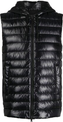 Padded Hooded Gilet-AE