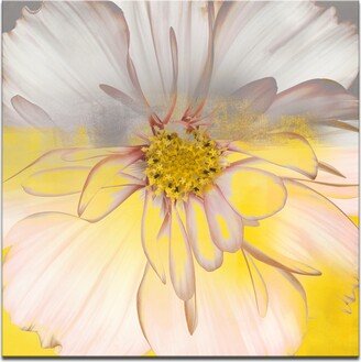 'Painted Petals Xxxiv' Canvas Wall Decor