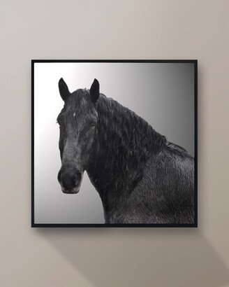 Grand Image Home Horse Riggs A Farm5 Giclee by Chris Dunker