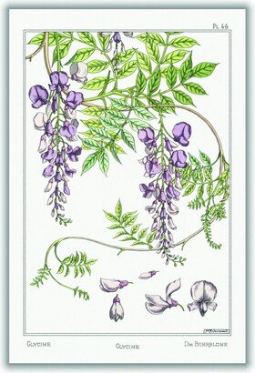 Stanley Print House Glycine Wisteria Print By Maurice Pillard Verneuil