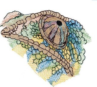 Chameleon Eyes Embroidered Waffle Weave Hand/Dish Towel