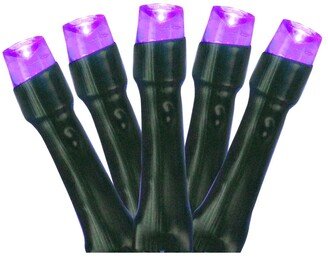 Northlight Set of 20 Battery Operated Purple Led Wide Angle Christmas Lights - Green Wire