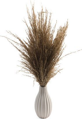 Dried Natural Pampas In Ribbed Vase