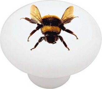 Bumble Bee Decorative Round Drawer Knob