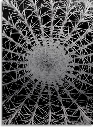 Kurt Shaffer Barrel Cactus Floating Brushed Aluminum Art - 22 x 25