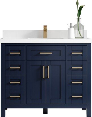 Cambridge 42 In. W X 22 D Single Sink Bathroom Vanity in Hale Navy Blue With Quartz Or Marble Countertop | Modern Vanity Premium Q