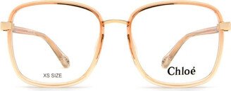 Eyeglasses-KF